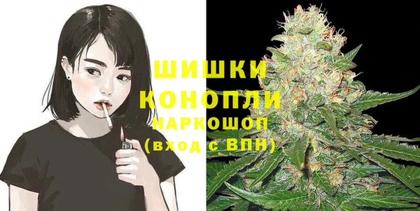 индика Верхнеуральск