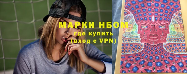 индика Верхнеуральск