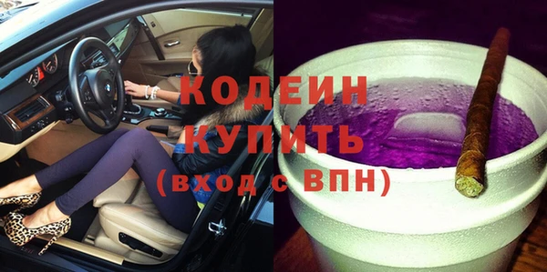 спиды Бородино