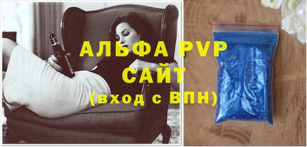 спиды Бородино